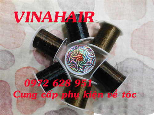 Chi Noi Toc1s