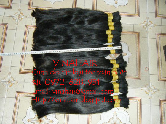 Tocthat1